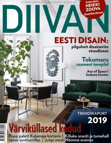 DIIVAN VEEBRUAR 2019